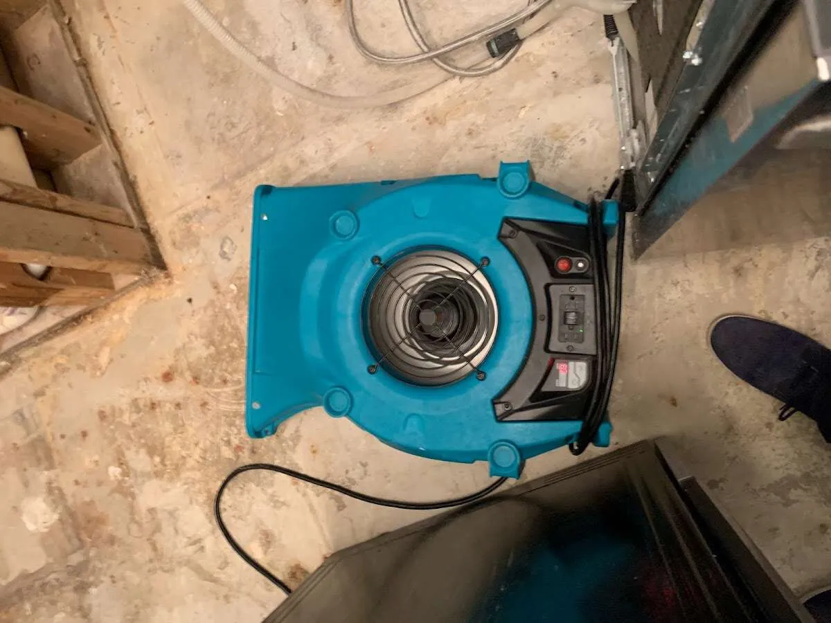 Air mover drying equipment for Mold Remediation & Removal in Windsor